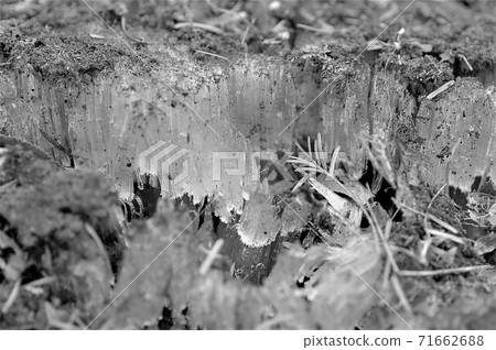 防凍柱(單色) 防凍柱(單色) 71662688