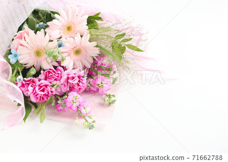 A bouquet of gerberas and carnations A bouquet of gerberas and carnations 71662788