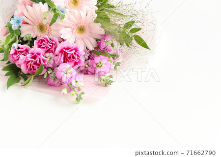 A bouquet of gerberas and carnations 71662790