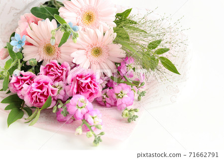 A bouquet of gerberas and carnations A bouquet of gerberas and carnations 71662791