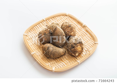 Taro with soil Taro with soil 71664243