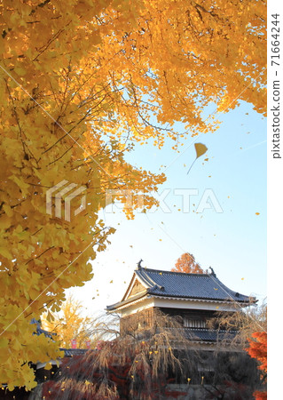 [長野縣]上田城跡公園的黃葉 71664244