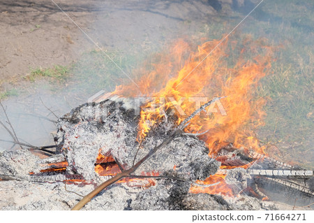 Big bonfire in the open air. A pile of ash from burnt boards and branches. Hot flame. 71664271