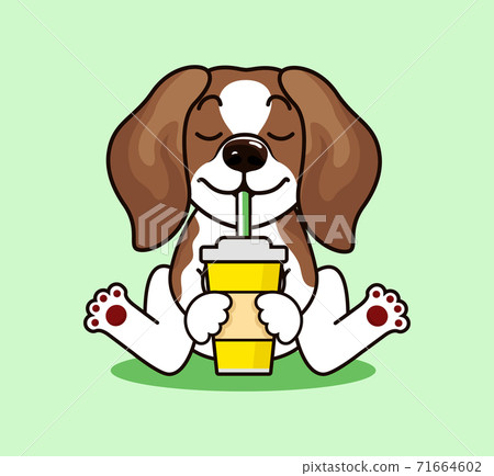 Cute cool beagle puppy Cute cool beagle puppy 71664602