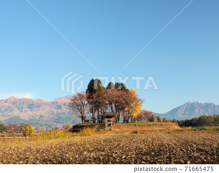 Autumn in Nakago Tenmangu, Minamiaso Autumn in Nakago Tenmangu, Minamiaso 71665475