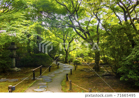 京都市東山區ku Awataguchi Seirenin Gate Ruins Garden 71665495