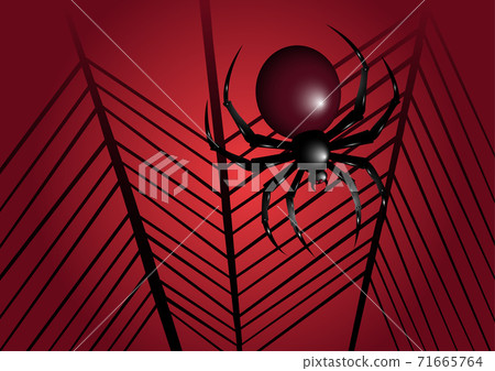Halloween spider illustration. Spider background. Halloween web and spider illustration. 71665764