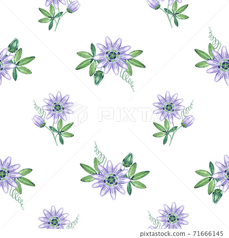 Watercolor passiflora seamless pattern Watercolor passiflora seamless pattern 71666145