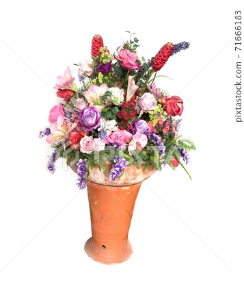 Red, pink and purple flowers in a vase on a white background 71666183