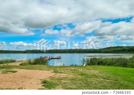 Beautiful lake with white swams Beautiful lake with white swams 71666193