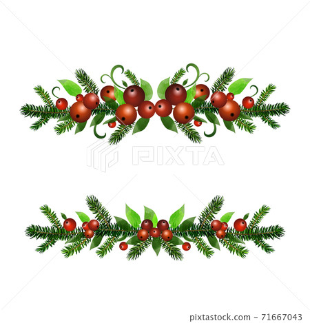 Christmas Holly brunches decoration vector Christmas Holly brunches decoration vector 71667043