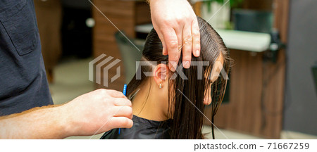 Hairdresser combing hair of woman 71667259
