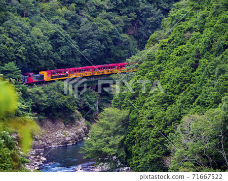 Sagano Torokko火車（京都府京都市西京區） 71667522