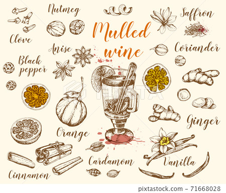 Vintage vector hand drawn mulled wine 71668028