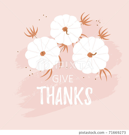 Give Thanks vector card with white pumpkins Give Thanks vector card with white pumpkins 71669273