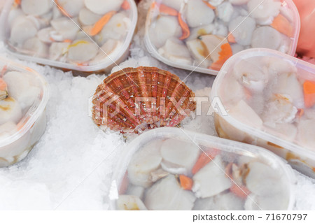 Fresh Scallops on a seafood market at Dieppe France 71670797