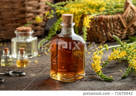 Herbal tincture with fresh blooming agrimony plant on a table Herbal tincture with fresh blooming agrimony plant on a table 71670842