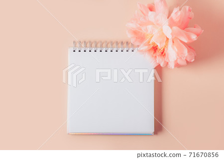 Open notebook for writing dreams 71670856
