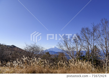 Mt. Fuji seen through the forest 71672424