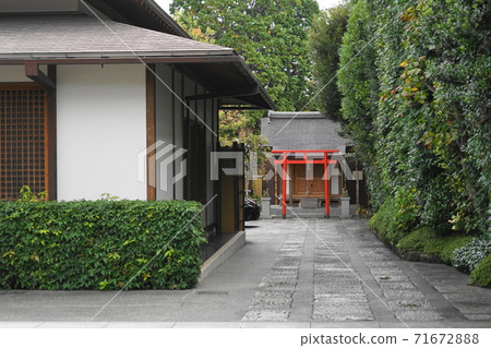 November Taito 145 Kudokurinji Temple (Yanaka) November Taito 145 Kudokurinji Temple (Yanaka) 71672888