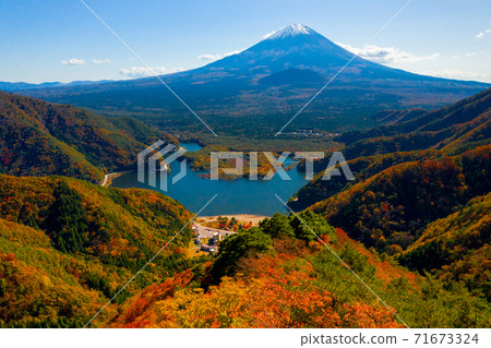 Lake Shoji and Mt. Fuji in autumn colors 71673324
