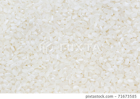 Rice used for sushi. Short Grain Sushi Koshihikari Rice. High resolution. Rice used for sushi. Short Grain Sushi Koshihikari Rice. High resolution. 71673585