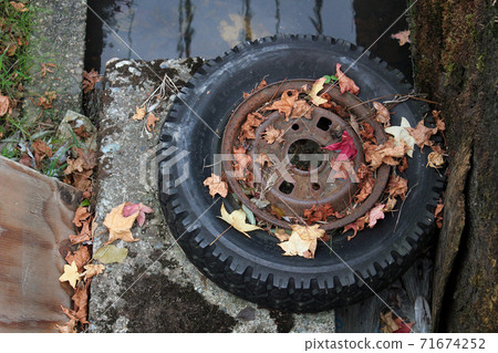 Old rusty tires and fallen leaves Old rusty tires and fallen leaves 71674252