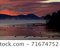 Lake Inawashiro, Kearashi and Swan in the morning glow 71674752