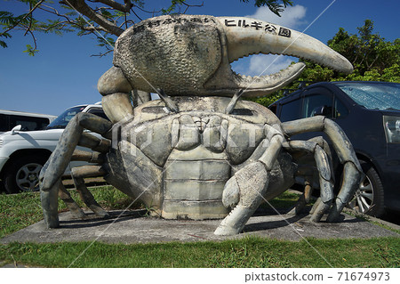 沖繩縣東村二井Hirugi公園 沖繩縣東村二井Hirugi公園 71674973