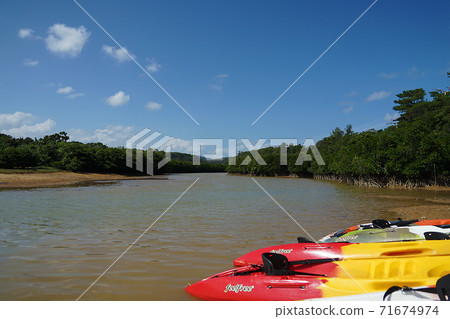 Okinawa Prefecture Higashimura Fureai Hirugi Park 71674974