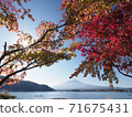 Fuji in autumnal leaves and Kawaguchiko 71675431