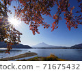 Fuji in autumnal leaves and Kawaguchiko 71675432