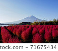 Lake Kawaguchi of Kokia and Mt. Fuji 71675434