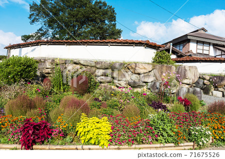 Making a fun flower bed in front of the house, a sunny autumn day 71675526