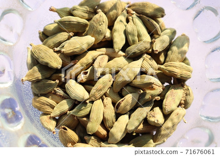 healthy and spicy Green Cardamom stock 71676061