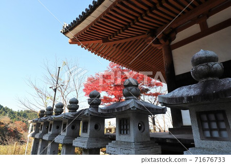 Autumn leaves at Tsubosaka-dera Temple in Nara Prefecture 71676733