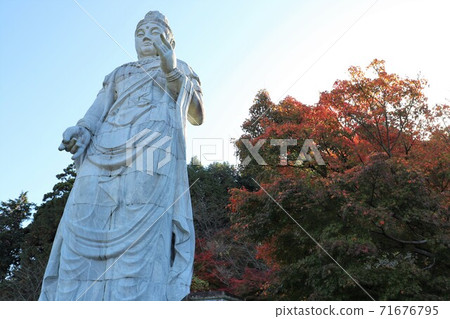 Autumn leaves at Tsubosaka-dera Temple in Nara Prefecture 71676795