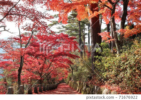 奈良縣吉野山的秋葉 奈良縣吉野山的秋葉 71676922