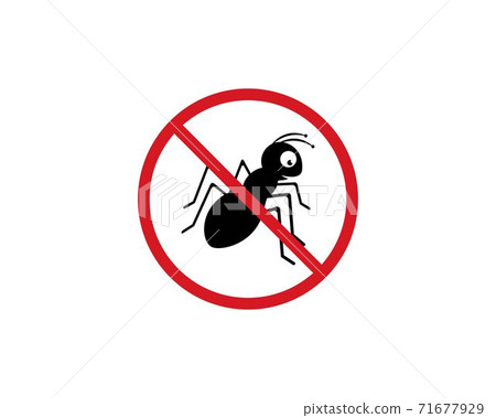 Ant Logo template Ant Logo template 71677929