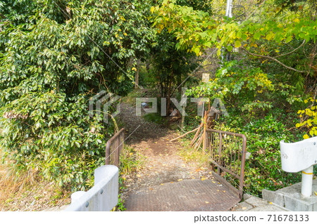 Mizuo Trailhead of Atago Shrine (Mt. Atago, Kyoto in November) Mizuo Trailhead of Atago Shrine (Mt. Atago, Kyoto in November) 71678133