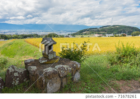 小神社和稻田[秋天] 71678261