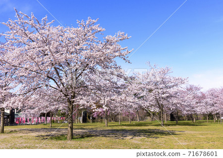 Spring Sendai West Park 71678601