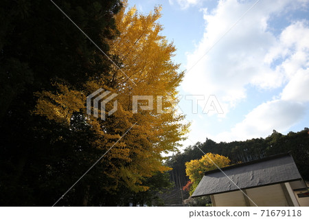 天河大企業家 天河大企業家 71679118