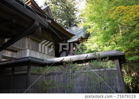 天河大企業家 71679119