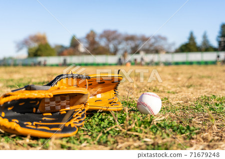 Baseball gloves and balls Baseball gloves and balls 71679248