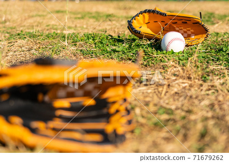 Baseball gloves and balls Baseball gloves and balls 71679262