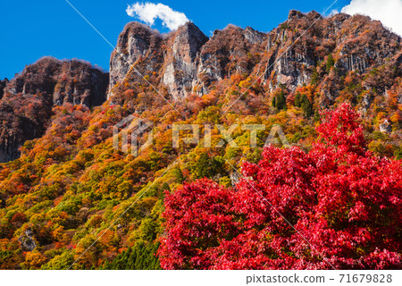 [Gunma Prefecture] Taken from Mt. Myogi / Mt. Myogi Panorama Park with autumn colors <Jomosanzan> 71679828