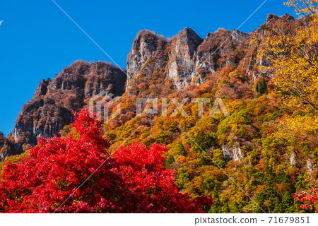 [群馬縣]取材於妙木山/妙木山全景公園，有秋葉<卡米格山山> 71679851