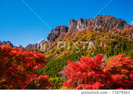 [群馬縣]取材於妙木山/妙木山全景公園，有秋葉<卡米格山山> 71679883