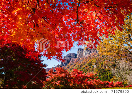 [群馬縣]取材於妙木山/妙木山全景公園，有秋葉<卡米格山山> 71679890